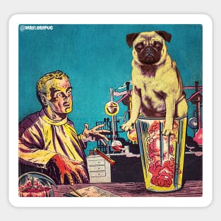 Pugscientist Sticker